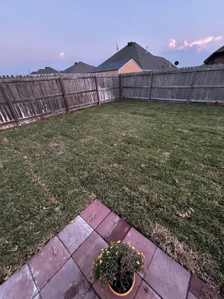 Backyard lawn at dusk after mowing service